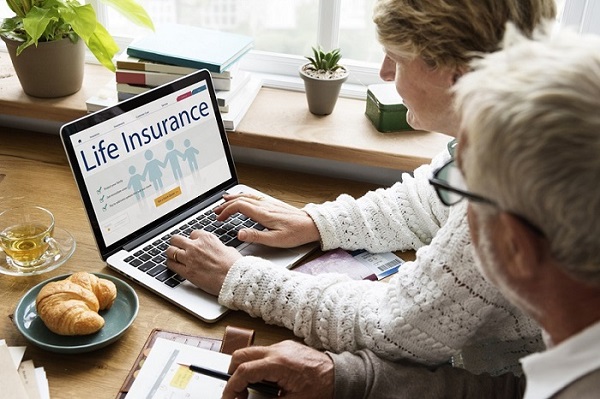 Picture Of Term Insurance Plan - Article Banner